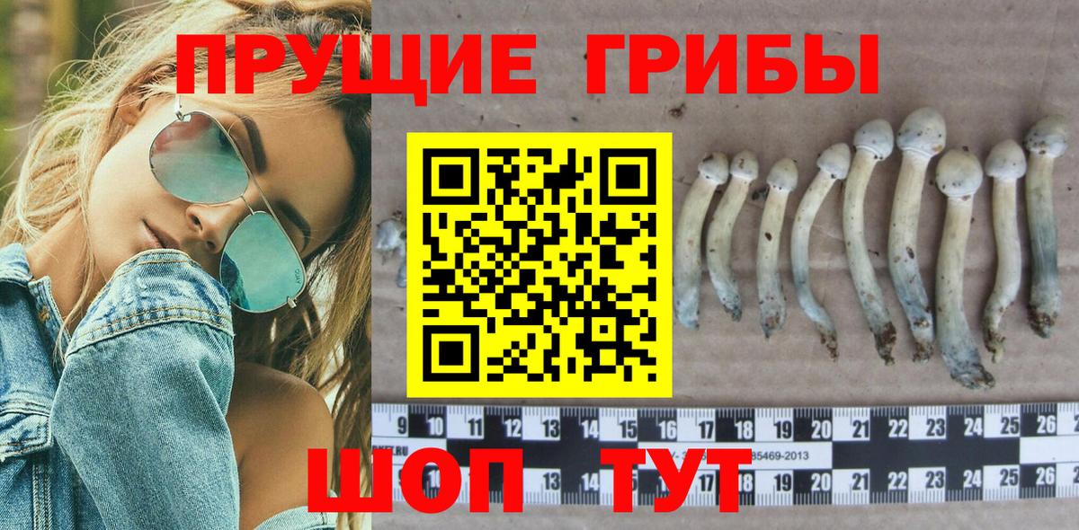 Реж  Псилоцибиновые грибы MAGIC MUSHROOMS  Псилоцибиновые грибы MAGIC MUSHROOMS  Вход с VPN 