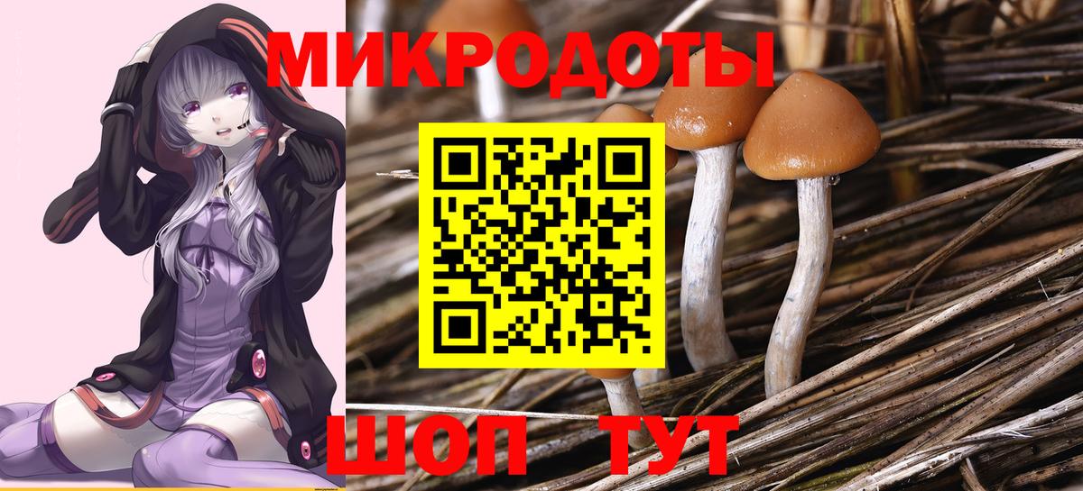 Галлюциногенные грибы MAGIC MUSHROOMS Реж